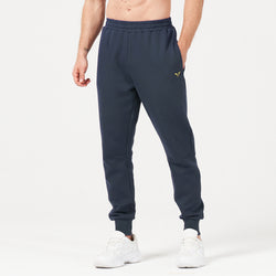 squatwolf-gym-wear-lab360-drylite-joggers-navy-workout-pants-for-men