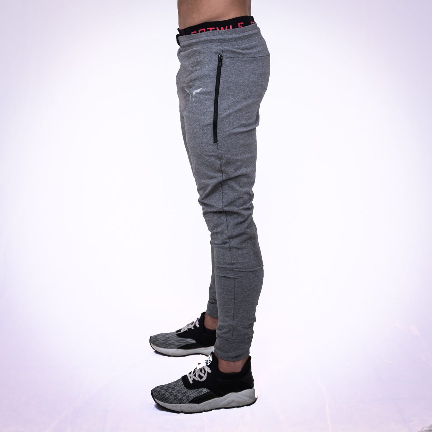 Jogger pants grey